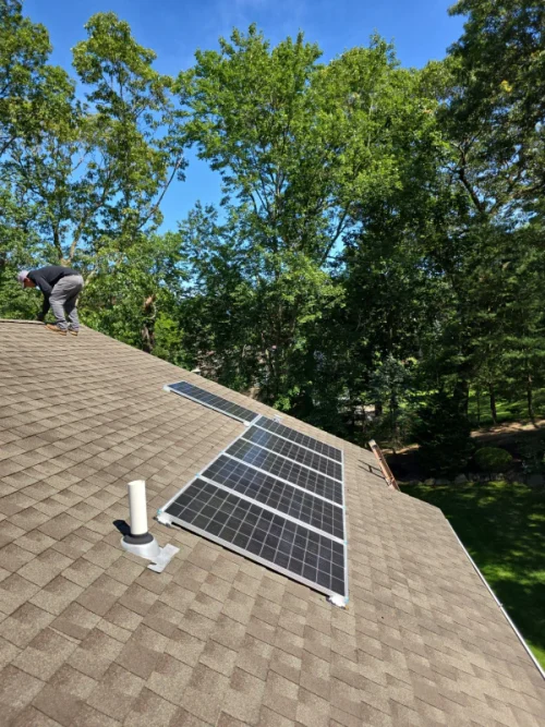 Gallery 07.23.2025 7